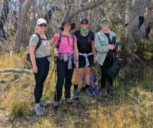 Mt Kosciuszko + Snowy Mountain Trails