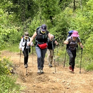 Starting in Le Puy-en-Velay, it runs across southern France before crossing into Spain at Saint-Jean-Pied-de-Port, where it connects with the Camino Francés.